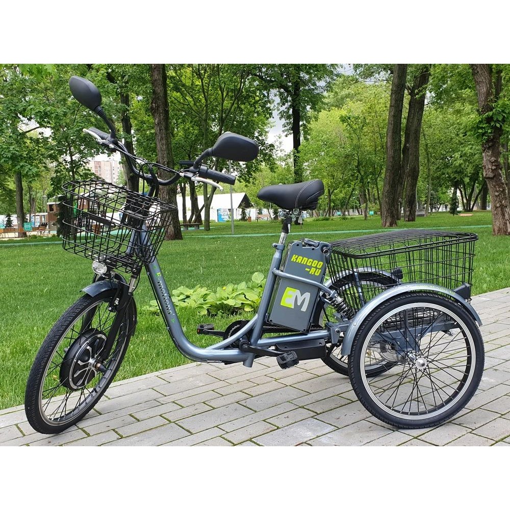 Купить трехколесный электровелосипед E-motions Kangoo-ru 700w в Нягани ...