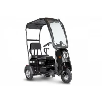 Электрический Трицикл Rutrike Куб черный